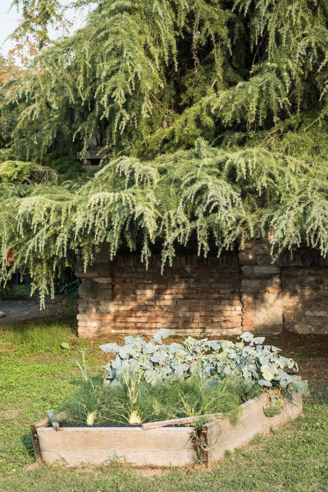 Agriturismo Beatilla Marmirolo Екстер'єр фото